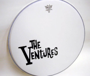 the Ventures