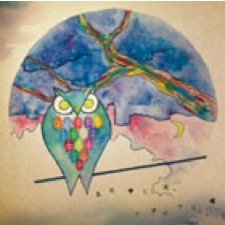 つばき New Album「真夜中の僕、フクロウと嘘」