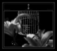 黒夢 「黒と影」