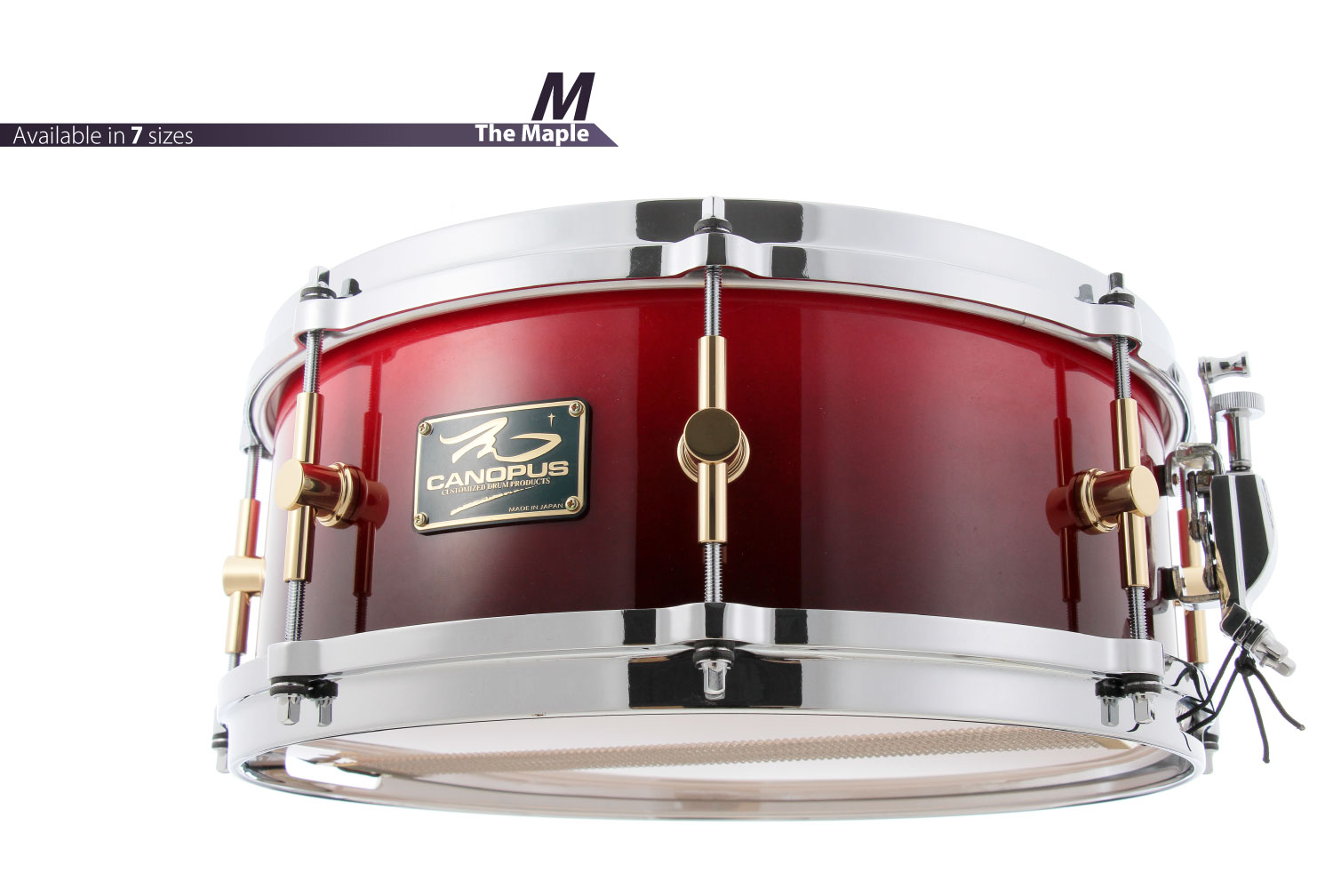 The Maple Snare Drum
