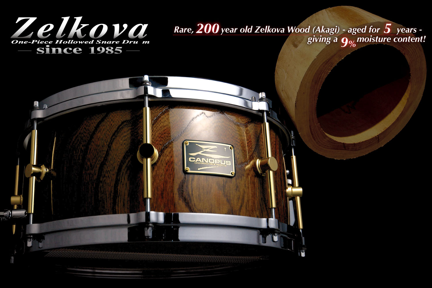 Zelkova Snare Drum - Canopus Drums