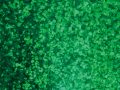 Green Spkl