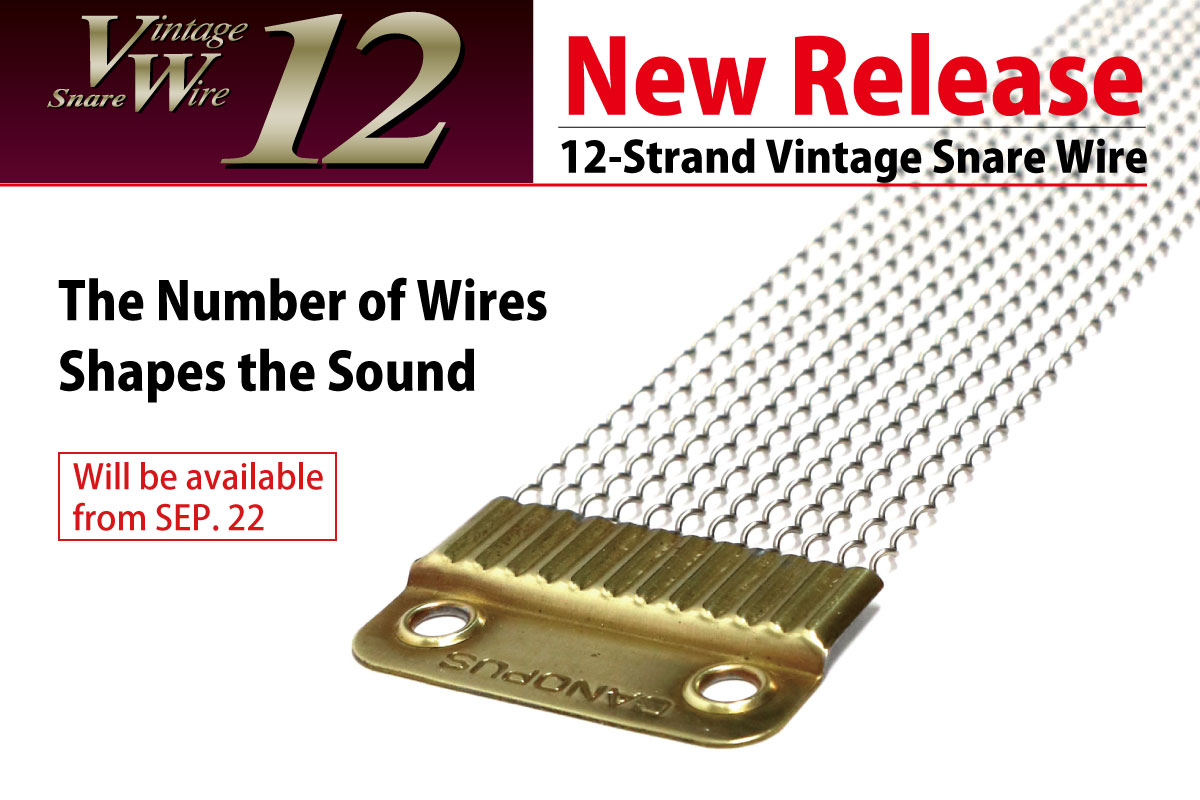 Vintage Snare Wire 12 [CPSL-14DR12]