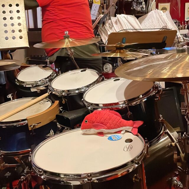 Birch Drum Set - Canopus Drums