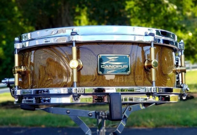 Zelkova Snare Drum - Canopus Drums