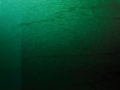 Emerald Fade