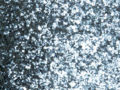 Silver Spkl