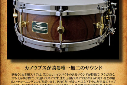 GATEWAY STUDIO ゼルコバスネアキャンペーン