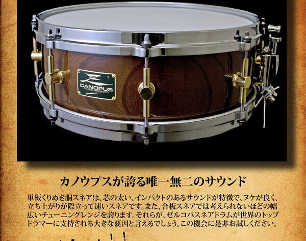 GATEWAY STUDIO ゼルコバスネアキャンペーン