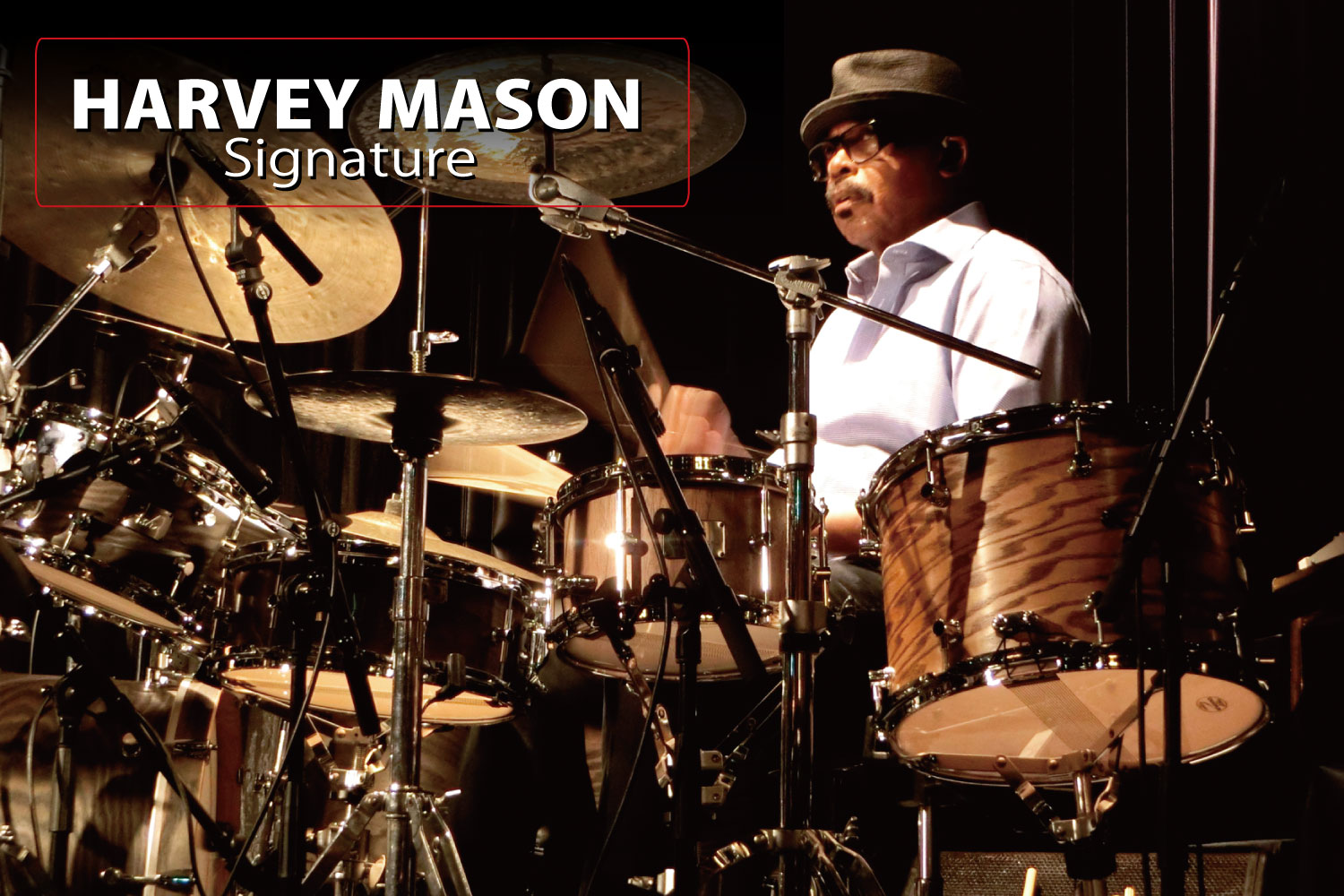 Harvey Mason ハーヴィー・メイソン シグネチャー スネアドラム