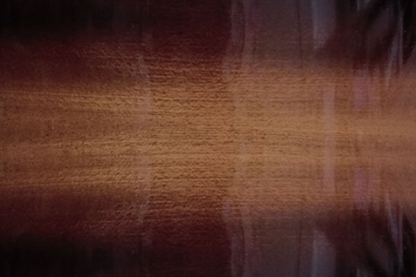 Brown Burst