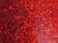 Red Spkl
