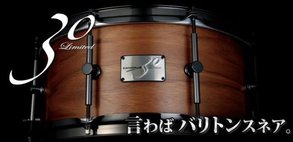 Limited30 Block Rose Wood Snare Drum【ブロックローズウッド