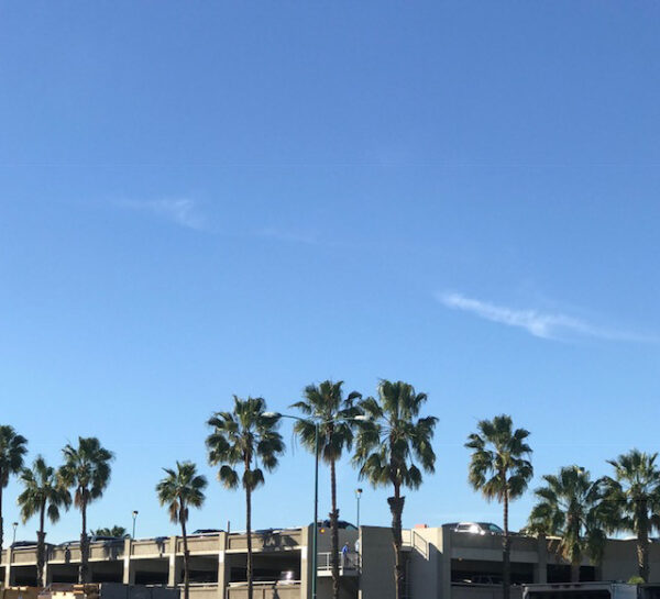 NAMM2019