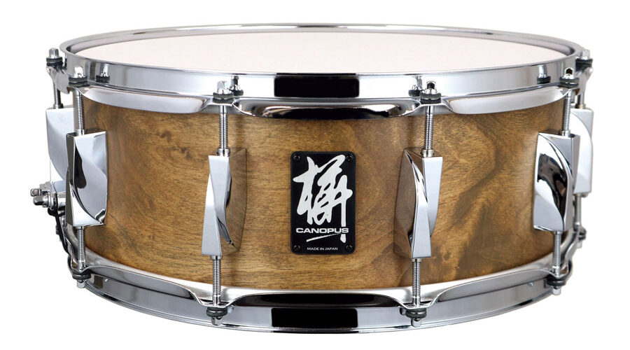 Maize Yellow Birch YBR-1455