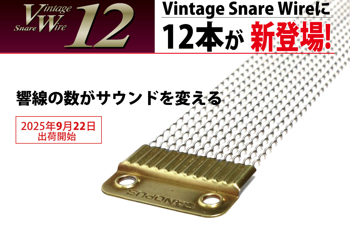Vintage Snare Wire 12 [CPSL-14DR12]