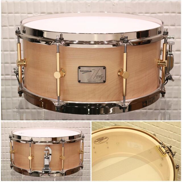 1ply Soft Maple Snare Drum【1プライソフトメイプルスネア
