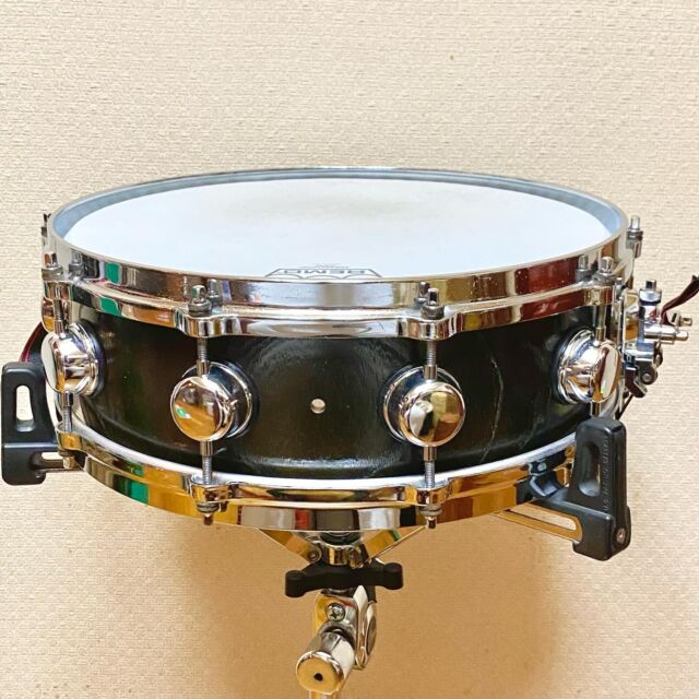 Zelkova Snare Drum【ゼルコバ スネアドラム】 | CANOPUS DRUMS
