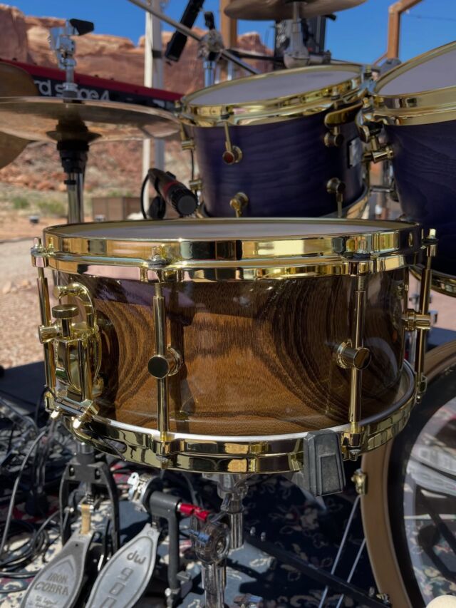 Zelkova Snare Drum【ゼルコバ スネアドラム】 | CANOPUS DRUMS