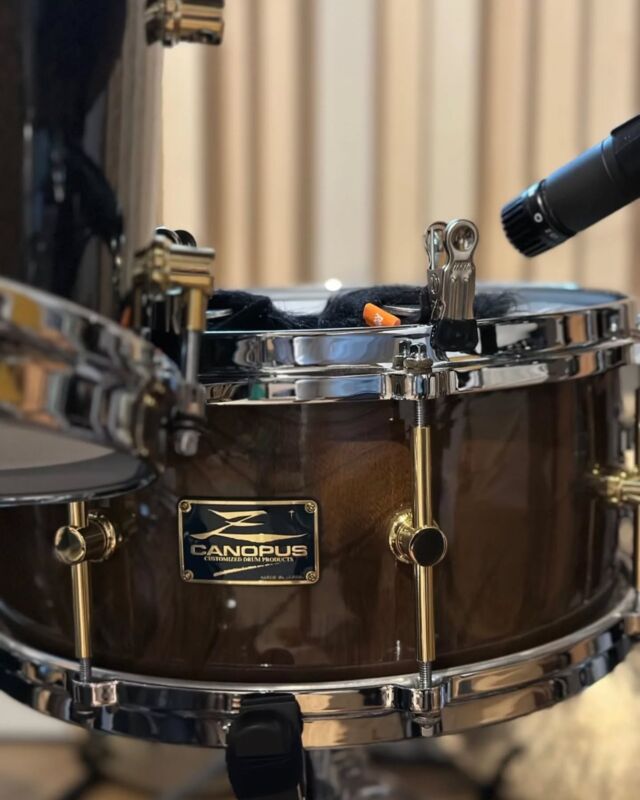 Zelkova Snare Drum【ゼルコバ スネアドラム】 | CANOPUS DRUMS