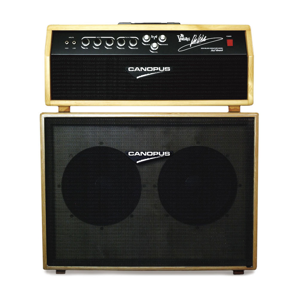 Don Wilson’s Signature Amplifier Used by Don himself on stage.