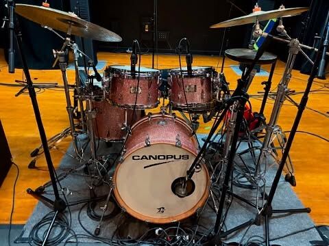 Type-R Maple Snare Drum - Canopus Drums Online Store
