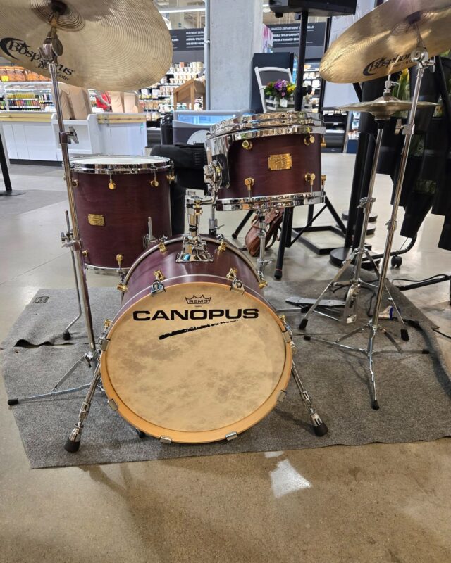 Jeff Hamilton Model - Canopus Drums Online Store